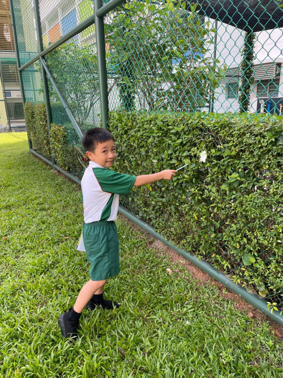 Student observing a flowering plant during an outdoor learning activity.